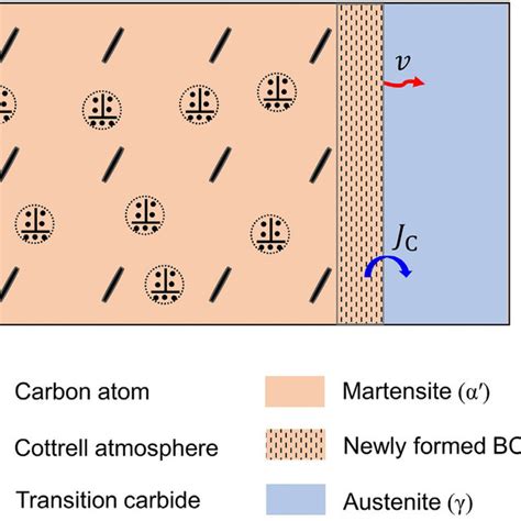 Schematic Illustration Of Microstructure Evolution During The Qandp