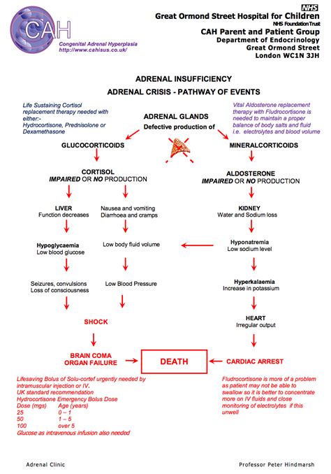 Clearly Alive Psa Adrenal Insufficiency And Sunburns Aka An Er Visit