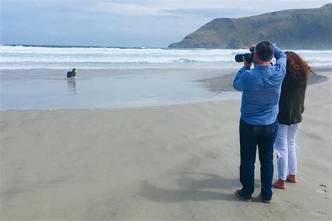 Dunedin, Otago Peninsula Small-Group Tour with Port Pickup 2024 - Dunedin & The Otago Peninsula