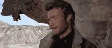 Tuco Tuco Discover Share Gifs