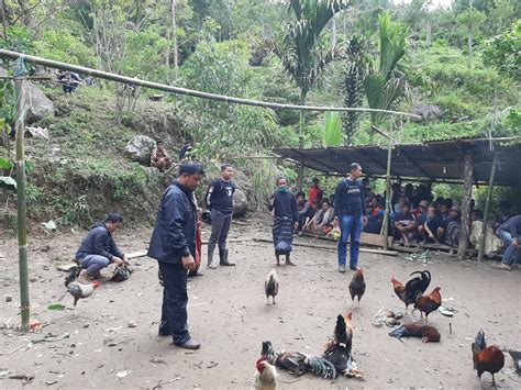 Unit Resmob Satuan Reskrim Polres Tana Toraja Melakukan Pembubaran Judi