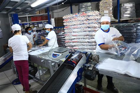 Gobierno De El Salvador Garantiza Estabilidad De Precios De La Canasta