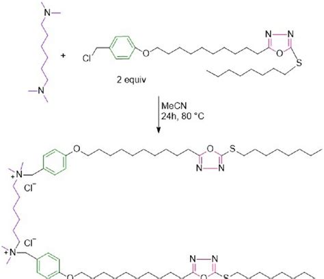 Scheme Synthesis Of Symmetrical Heterocyclic Gemini Type Surfactant