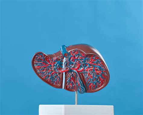 Chronic Liver Failure - Nursing CE Central