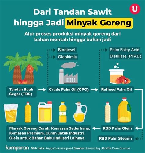 Infografik Alur Proses Sawit Jadi Minyak Goreng Minyak Goreng Buah