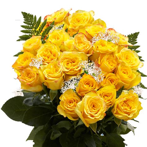 Large Yellow Roses Bouquet Two Dozen Stems Globalrose