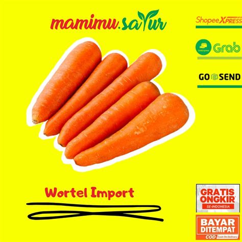 Jual Wortel Berastagi Import Wortel Besar Segar Wortel Berastagi