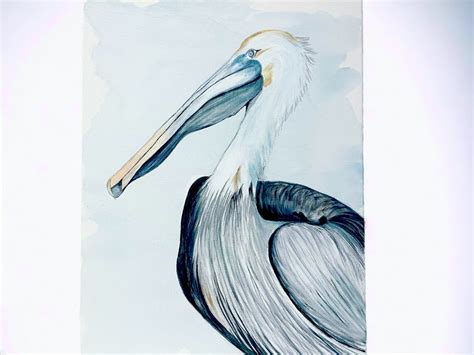 Pelican Acrylic Painting Etsy