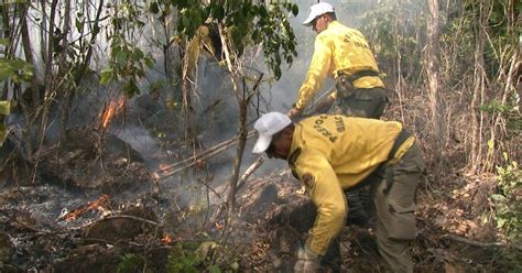 G1 Brigadistas combatem queimadas em dois municípios de Roraima