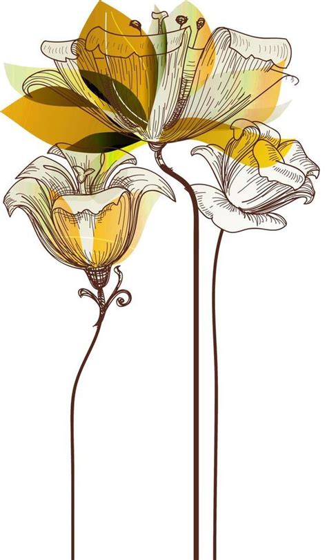 Pin By Mian Mudassar On Flower Drawing In 2024 Botanical Flower Art