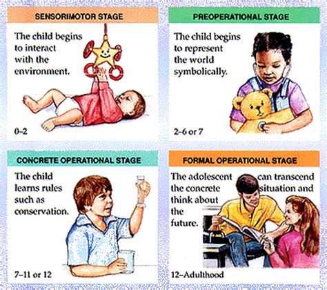 Piaget's Stages of Development - Conservation of Number