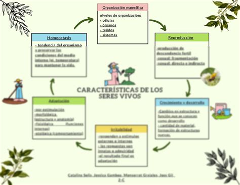 Solution Caracter Sticas De Los Seres Vivos Studypool