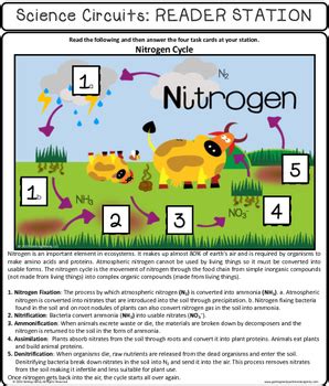 Ecology Science Centers Lab Stations Cycles In Nature Tpt