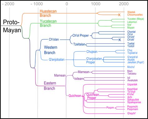 The History Of Language Morgans Language Research Project