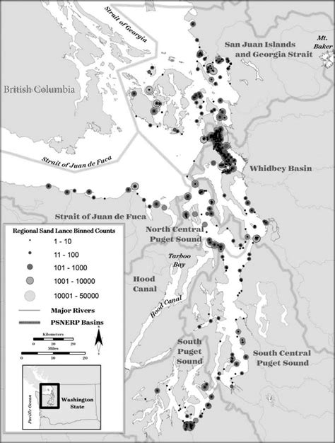 The number of Pacific Sand Lance per record, for each site. Sites where ...