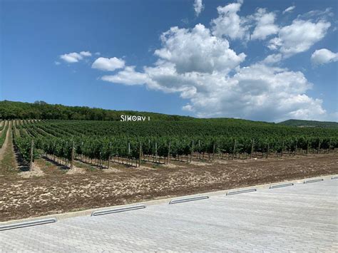 Винодельни Краснодарского края. Карта и описание | Маршруты Выгодных ...