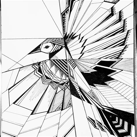 Geometric Bird Draw