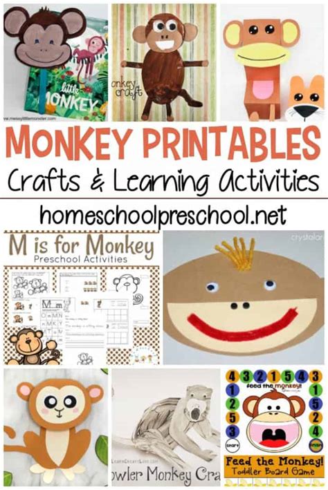 20 Exciting Monkey Activities for Preschoolers To Do