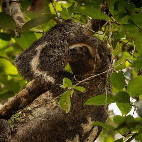 National Geographic On Instagram Photo By Trevor Frost Tbfrost