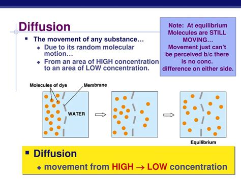 Ppt The Cell Membrane Ap Biology Powerpoint Presentation Free Download Id 3989879