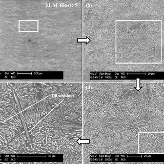 Cross Hatch Build Strategy For Tib Ti Al V Composite Solid