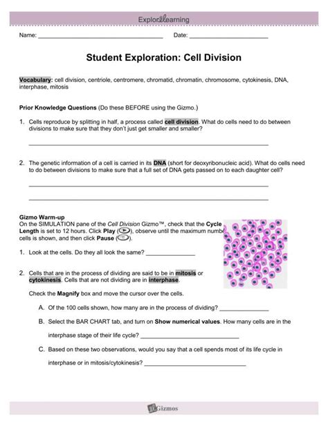 Unlocking The Secrets Of Meiosis Unraveling Assessment Questions On