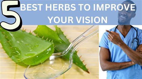 Top 5 Herbs To Improve Your Vision Herbs To Keep Your Eyes Healthy Youtube