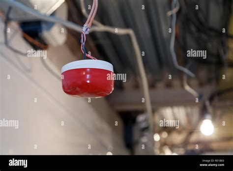 Closeup Installation And Repair Of Electric Cable Smoke Detector Fire