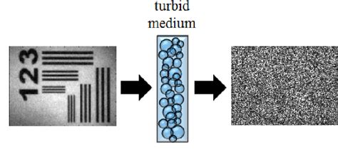 Figure 2 From Recent Progress In Computational Imaging Through Turbid