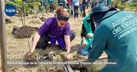 Nace El Bosque De La Cultura En La Reserva Forestal Thomas Van Der