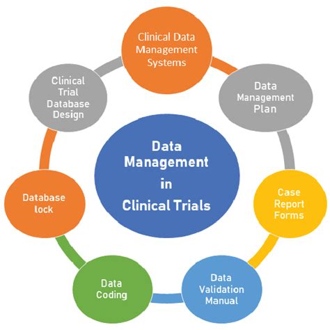 The Importance Of Data Management In Clinical Trials Clinical Trials