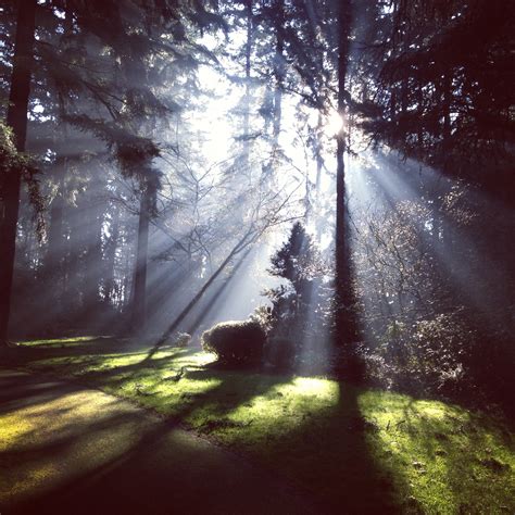 Images Gratuites paysage arbre la nature forêt herbe branche