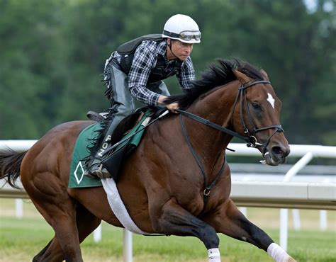 Cody's Wish favored to extend streak, give Mott his first Met Mile