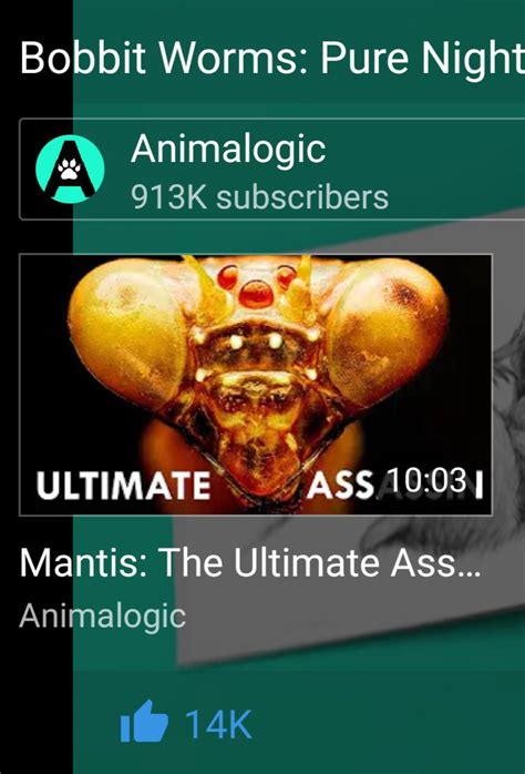 The Ultimate ASS R AccidentalComedy