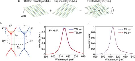 Excitonic Chirality In Twisted Ws Monolayers On An Oxidized Silicon