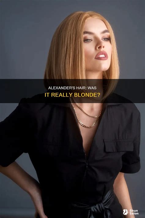 Alexander S Hair Was It Really Blonde ShunSalon