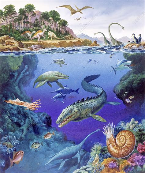 Cretaceous Marine Animals