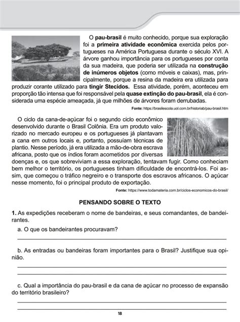 Ano Atividades De Hist Ria E Geografia Entradas E Bandeiras