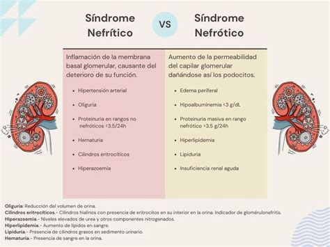 Sindrome Nefr Tico Vs Nefr Tico Pierodiaz Med Udocz S Ndrome