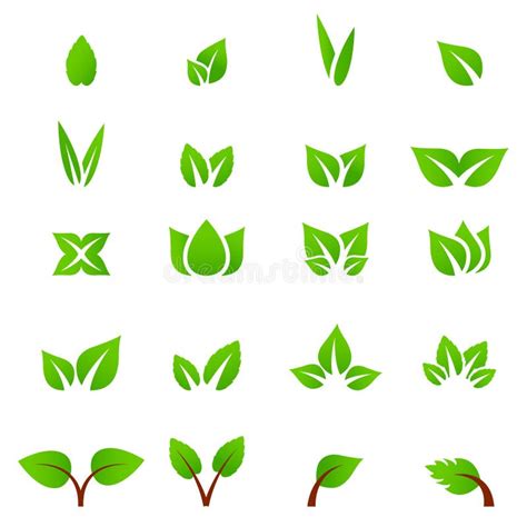 Hoja Planta Logotipo Ecolog A Gente Salud Verde Hojas Sistema