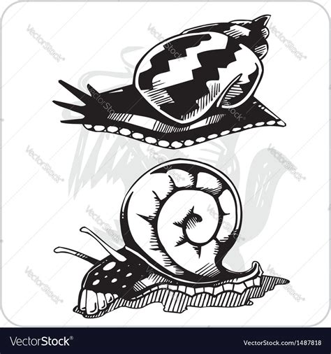 Set Snails Royalty Free Vector Image Vectorstock