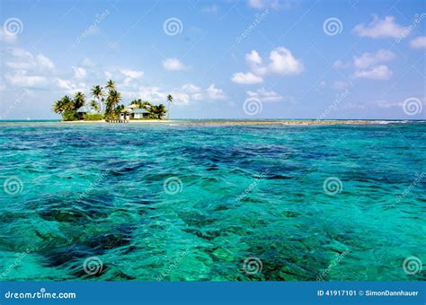 英国细致的空白海岛海岛掌上型计算机天堂沙子含沙唾液结构树绿松石处女的水 库存图片 图片 包括有 再制定 吊床 41917101