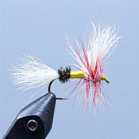 Parmachenee Belle Wulff Maine Fly Shop — Rangeley Region Sports Shop