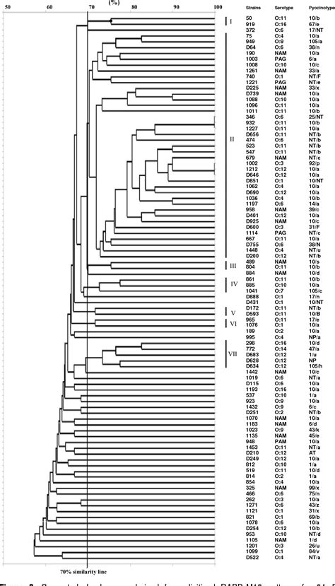 Table 1 From Clinical Isolates Of Pseudomonas Aeruginosa Cultured From Patients Admitted To The