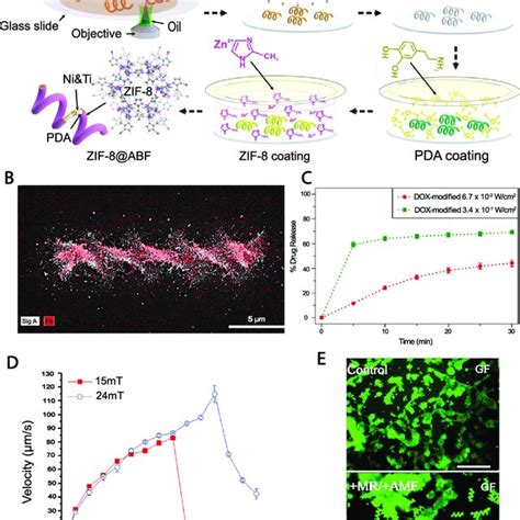 3d Printed Microrobots For Drug Delivery A Zif 8 Coated Download Scientific Diagram