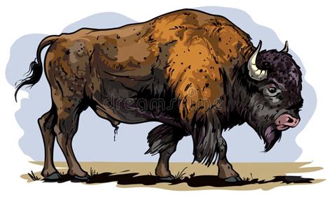 Bison Stock Illustrations – 19,107 Bison Stock Illustrations, Vectors ...