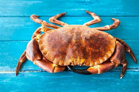 Whole Cooked Crab Fresh Crab And Seafood Dorset Shellfish