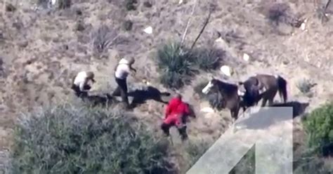 Estados Unidos Oficiales Le Dieron Una Golpiza Por Robar Un Caballo