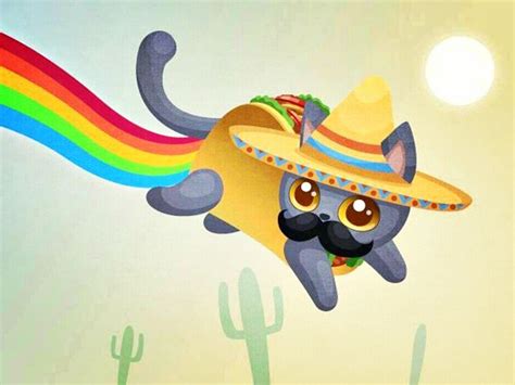 Tacocat Wallpapers - Wallpaper Cave