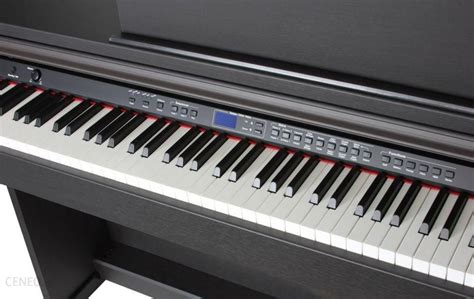 Orla Cdp 101 Rosewood - Ceny i opinie - Ceneo.pl